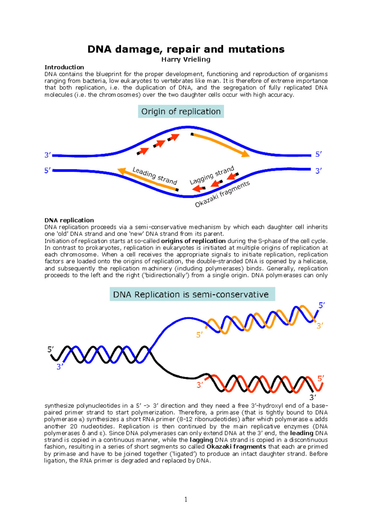 DNA Damage, Mutations, and Repair Mechanisms: A Comprehensive Overview ...