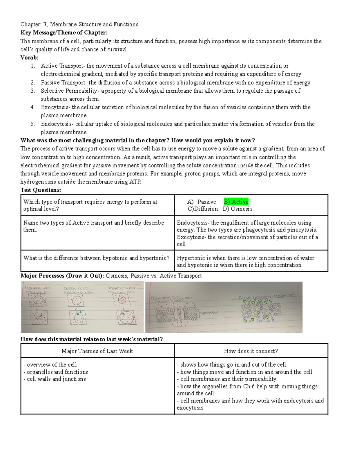 Chapter 7 Study Guide - Chapter: 7, Membrane Structure and Functions ...