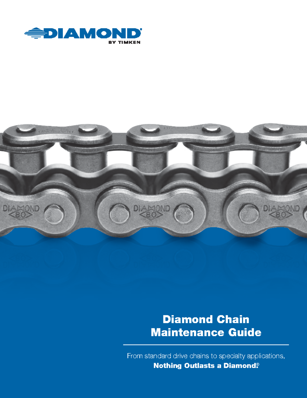 Maintenance Guide Diamond chain by Timken - From standard drive chains ...
