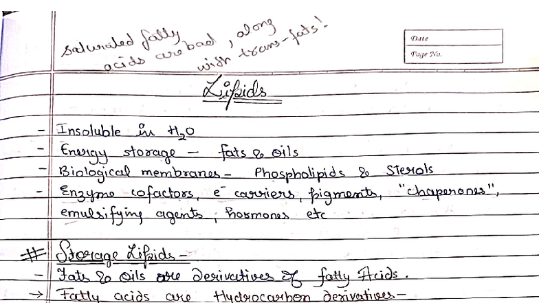 Lipid and Lipid Metabolism (BIO 101) - Comprehensive Study Notes - Studocu