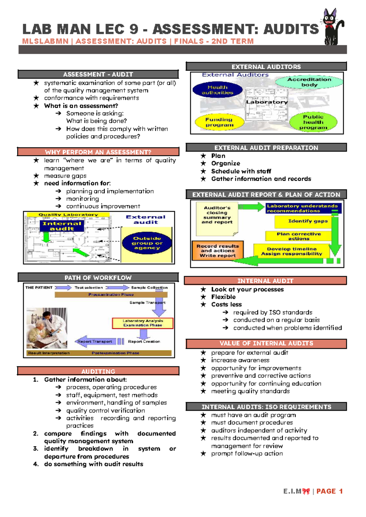 LAB MAN LEC 9: Internal Audit Assessment & Action Plan Finals - Studocu