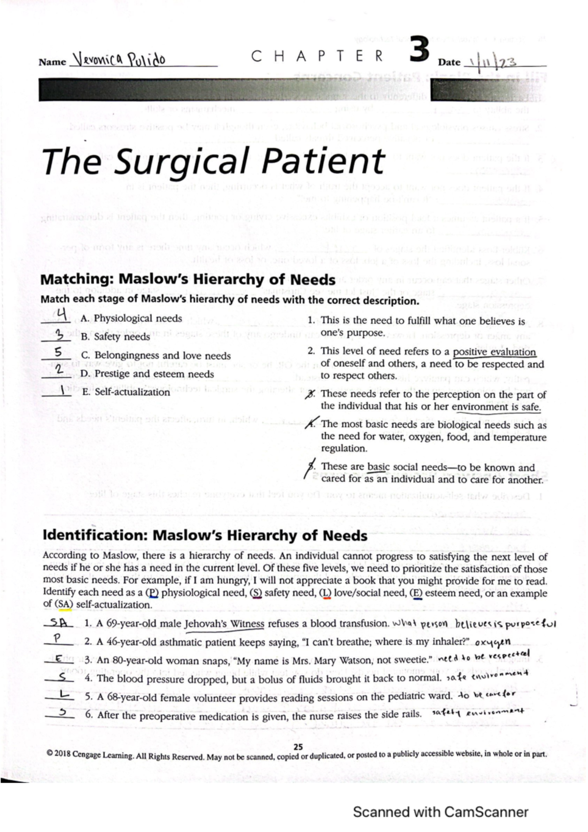 Surg Tech 101: Chapter 3 Workbook on Patient Needs and Care - Studocu