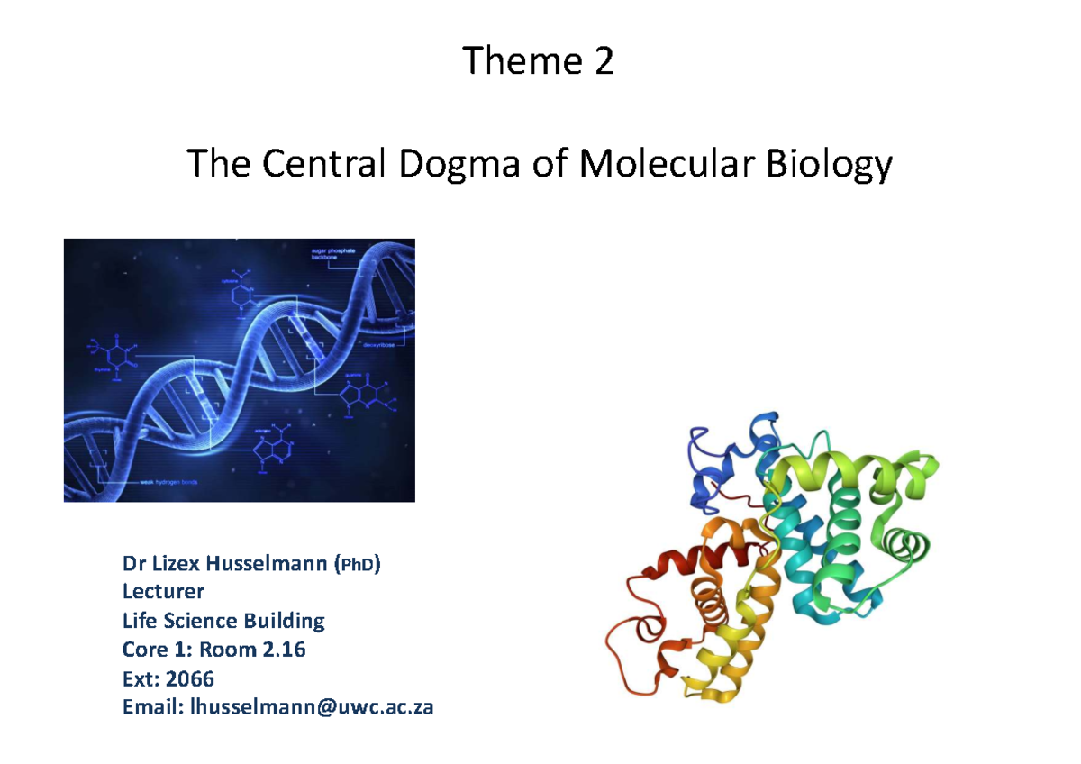 Theme 2: Central Dogma of Molecular Biology - Study Notes for Exam ...