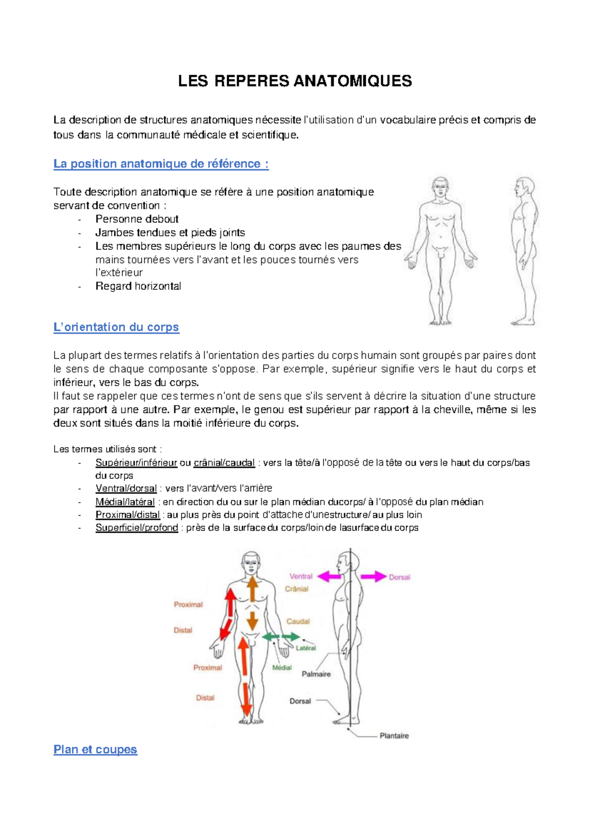 Repères Anatomiques: Terminologie et Plans du Corps Humain - Studocu