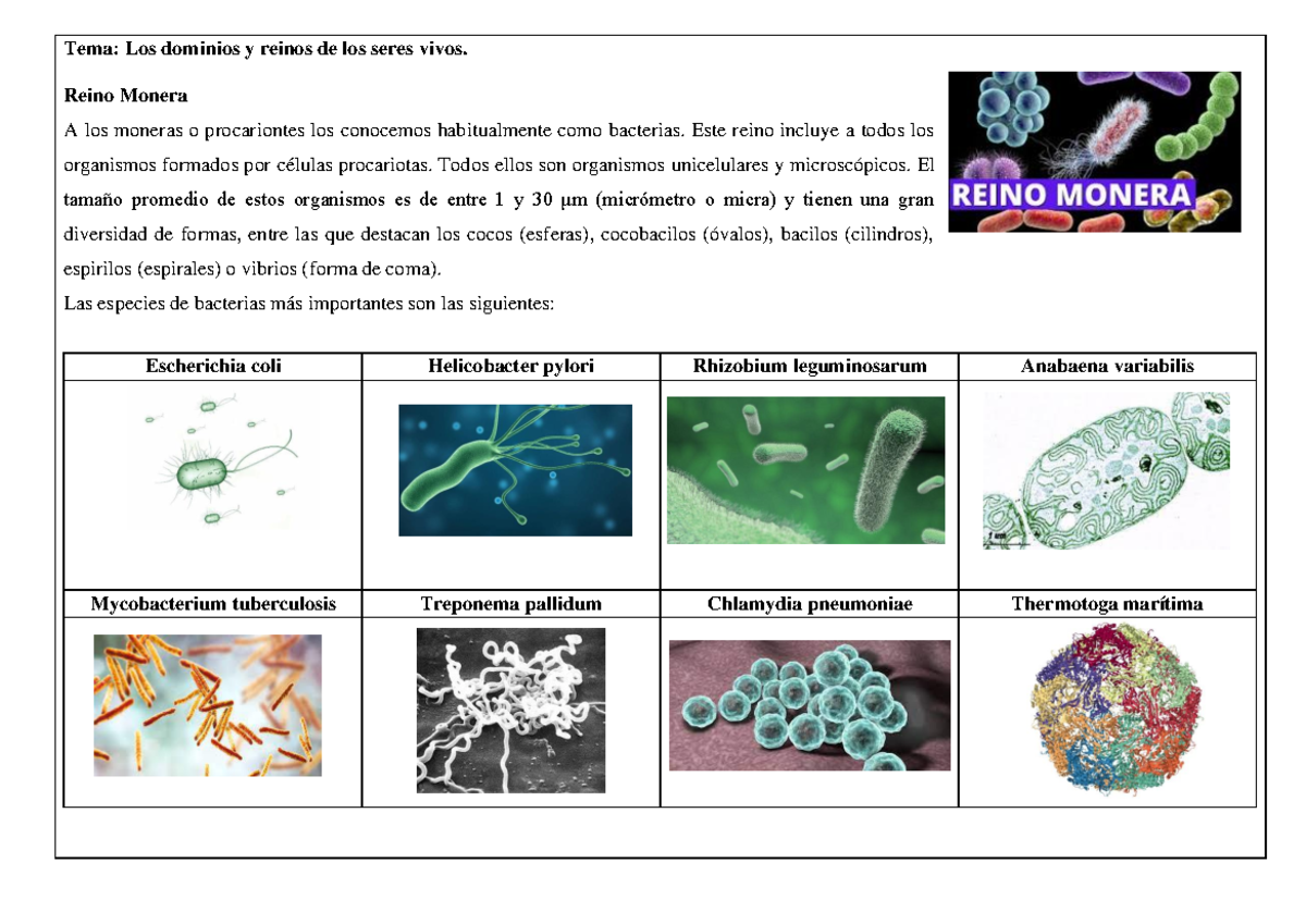 U4 1ERO Clase - Biología - Dominios y Reinos de los Seres Vivos - Studocu