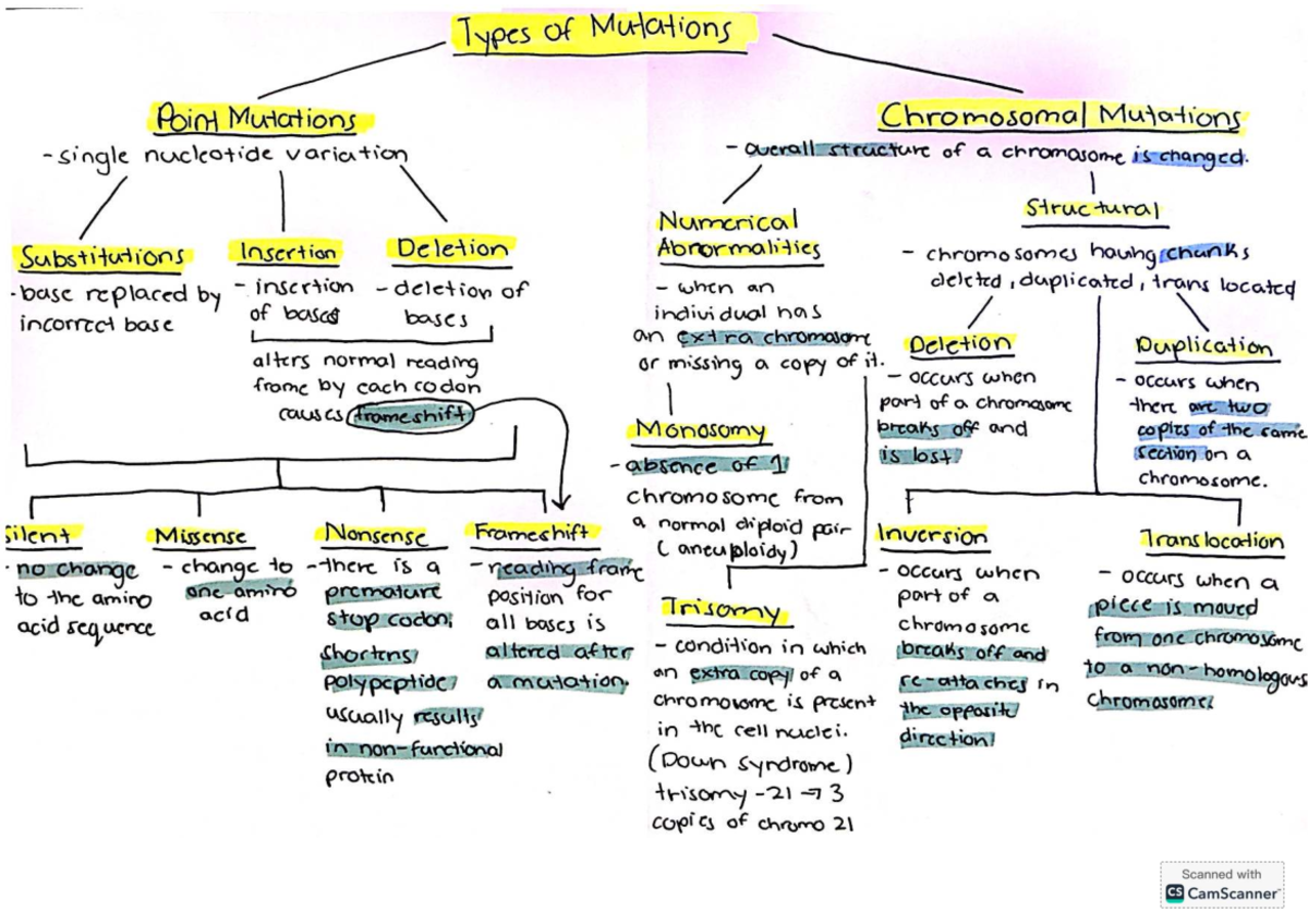 Types of Mutations MOD 6: Understanding Chromosomal Variations - Studocu
