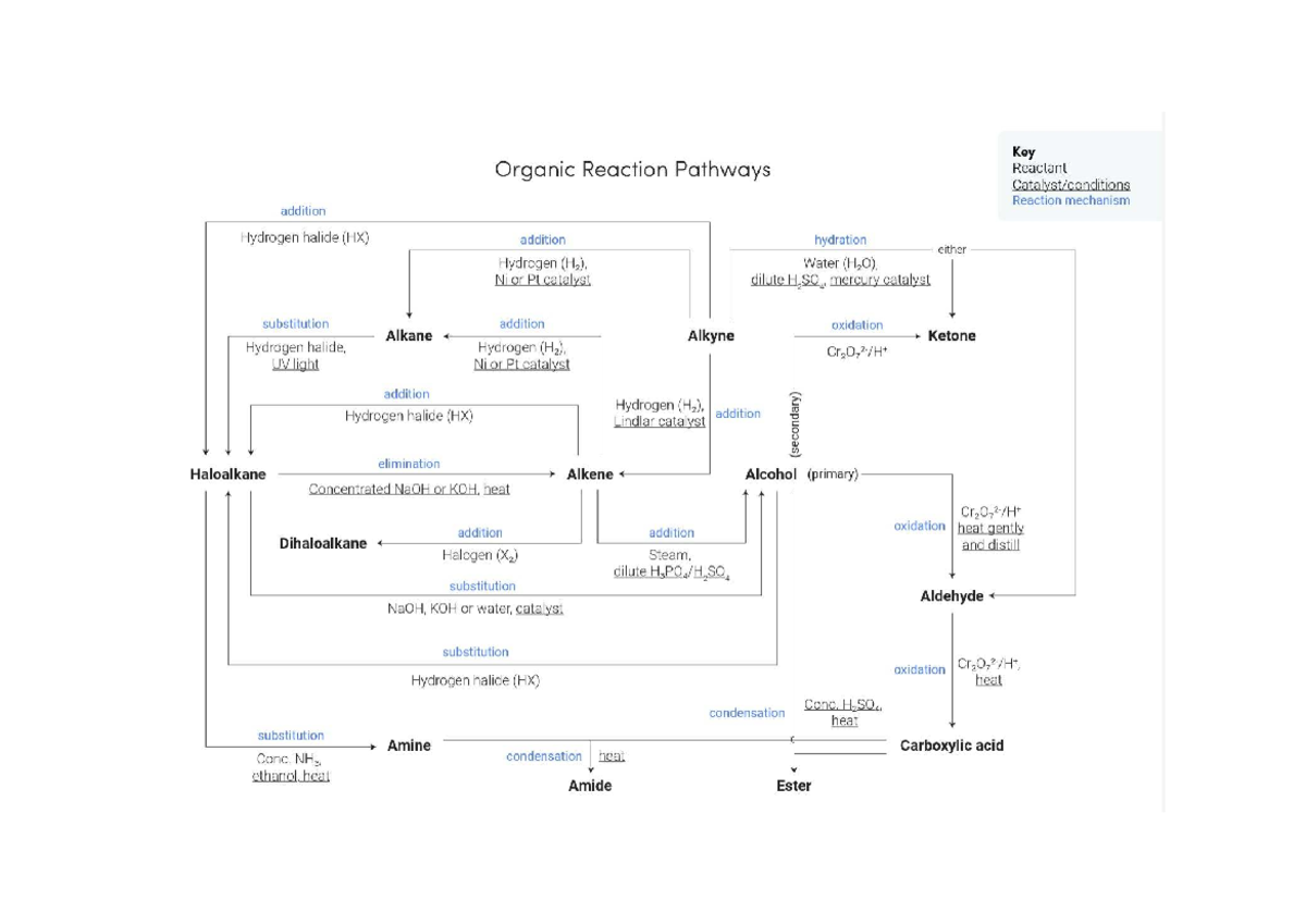 Key Organic Reaction Pathways: Mechanisms & Catalysts Overview - Studocu