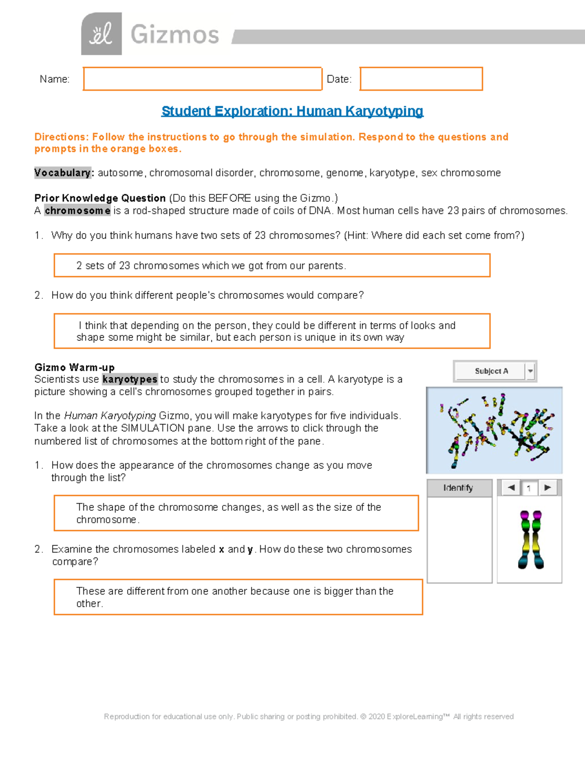 Human Karyotyping Simulation Exploration (SE) - Student Guide - Studocu