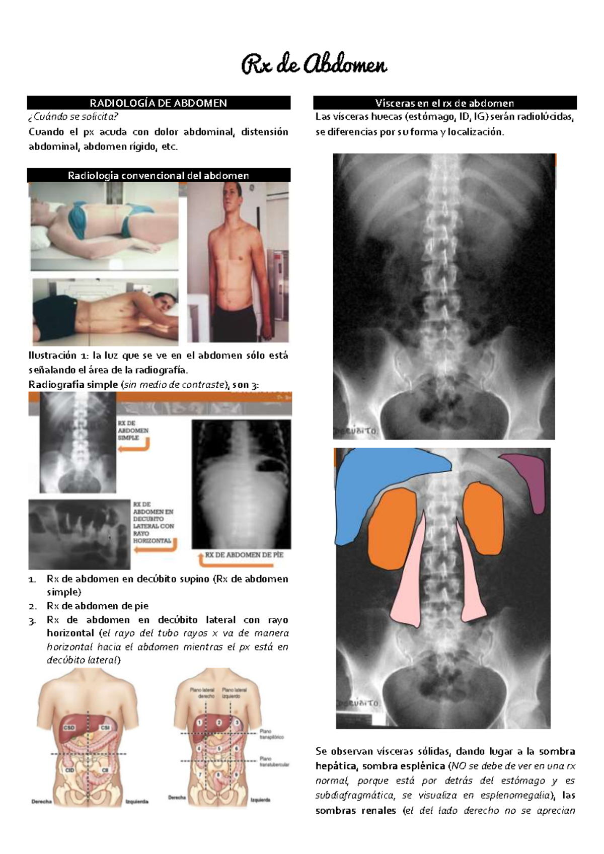Rx de Abdomen: Diagnóstico y Tipología Radiológica - Document Preview