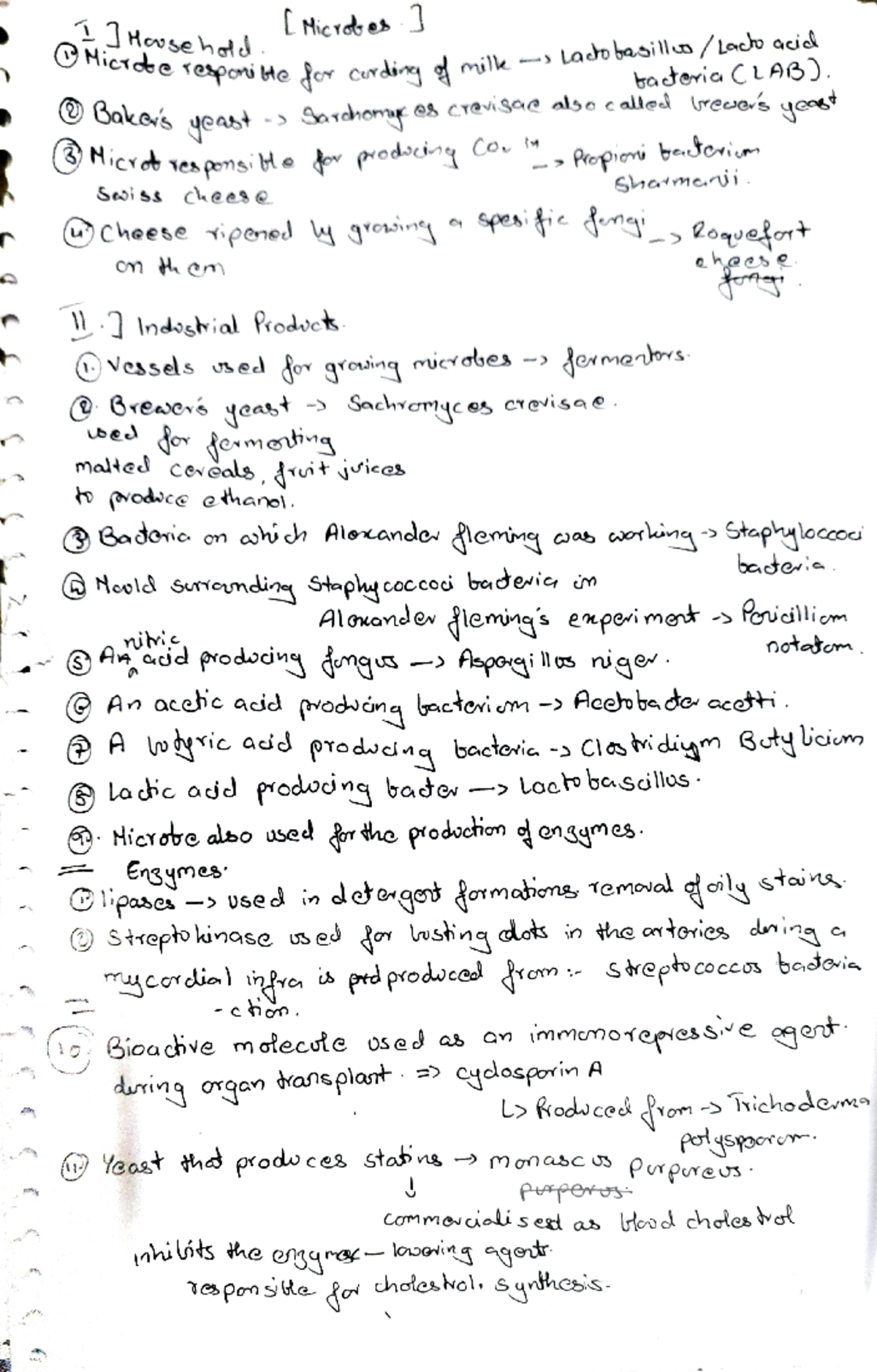 Microbiology Notes: A Study on Lactobacillus and Key Fermentation ...