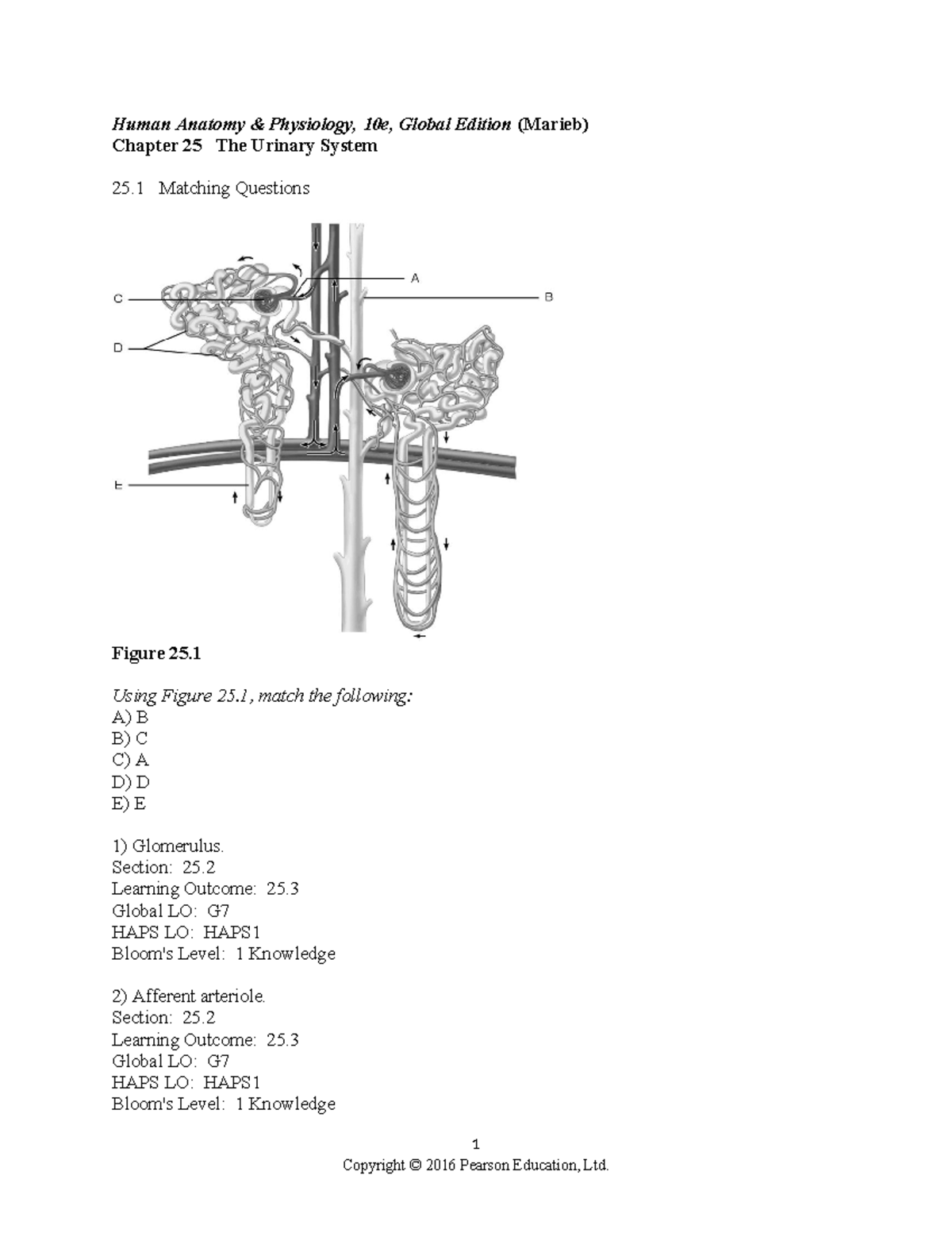 Ch 25 Test Bank - Urinary System Answers and Concepts - Studocu