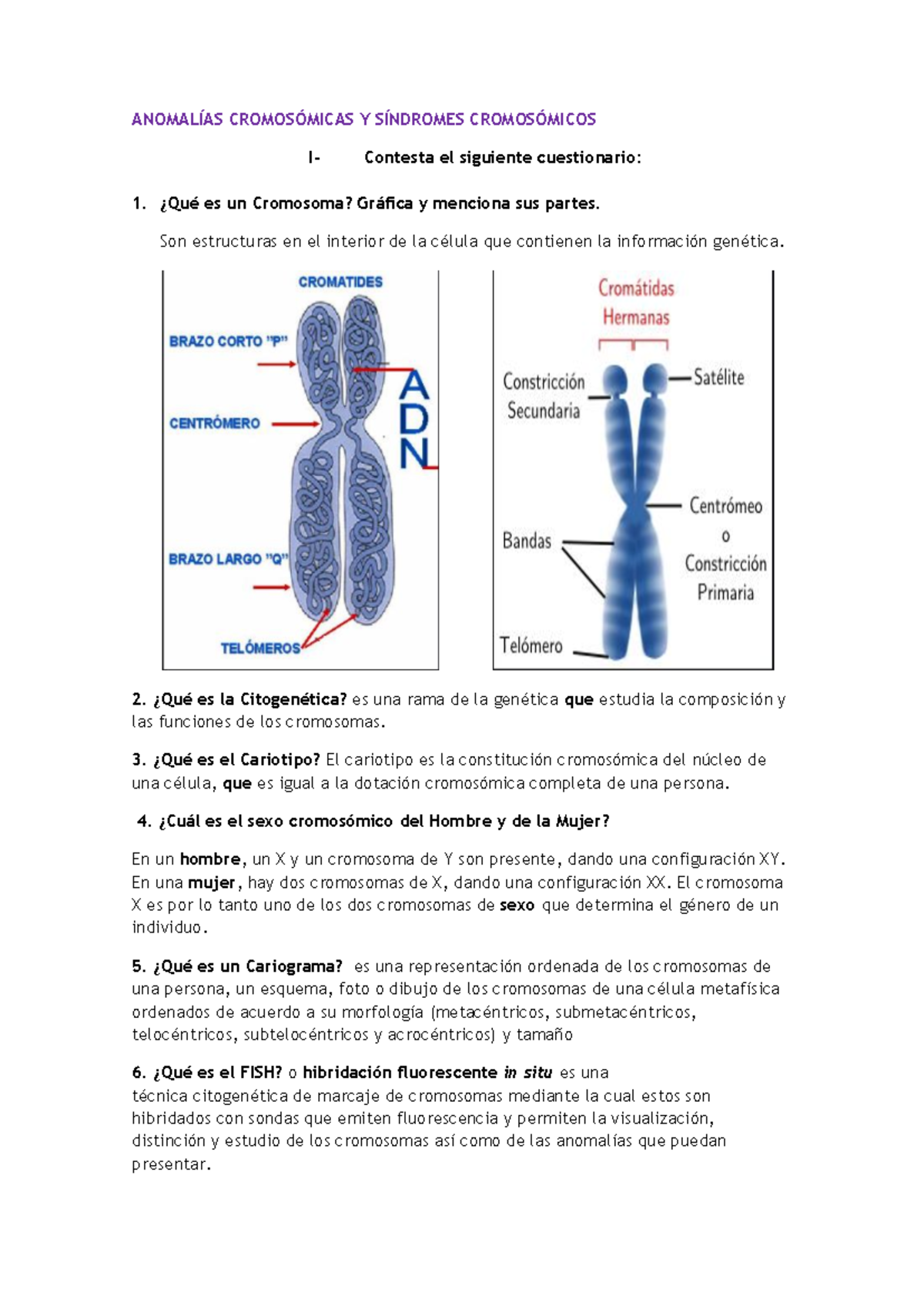 Untitled, image size:1200x1696