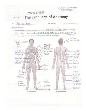 解剖学 1 Anatomy 1 解剖学 1 Anatomy 1 Introduction to Anatomy & Physiology