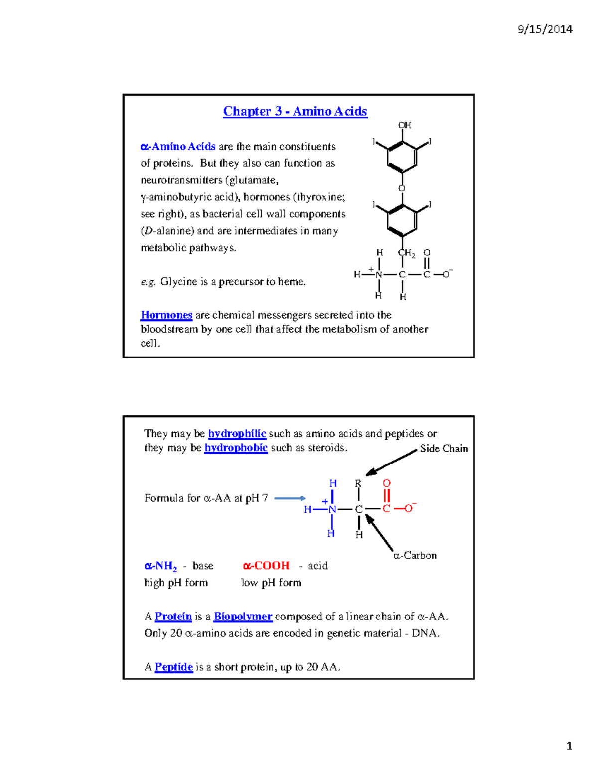 Amino acids summary - Chapter 3 - Amino Acids -Amino Acids are the main ...