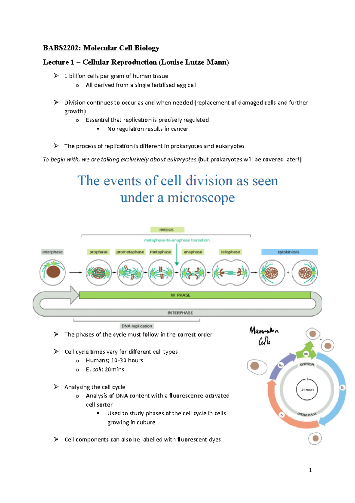 BABS2202 Lecture Notes on Molecular Cell Biology - Completed T2 2020 ...