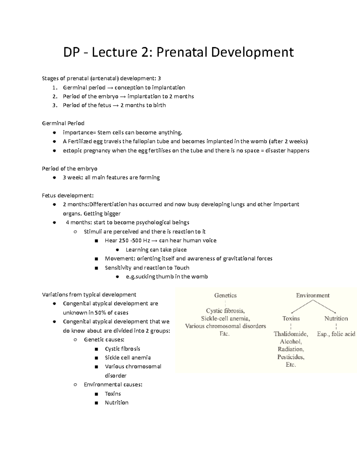 DP - Lecture 2 Prenatal Development - DP - Lecture 2: Prenatal ...