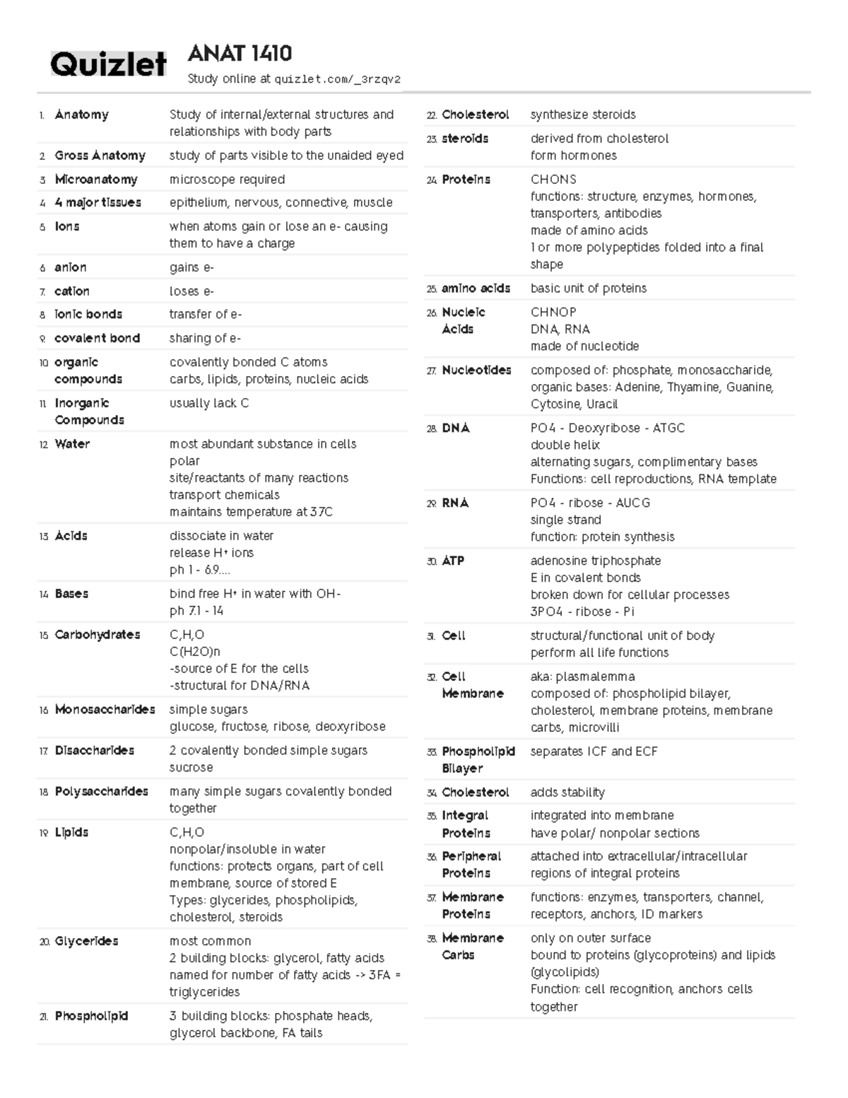 Anatomy Midterm 1 - notes - Anatomy Study of internal/external ...
