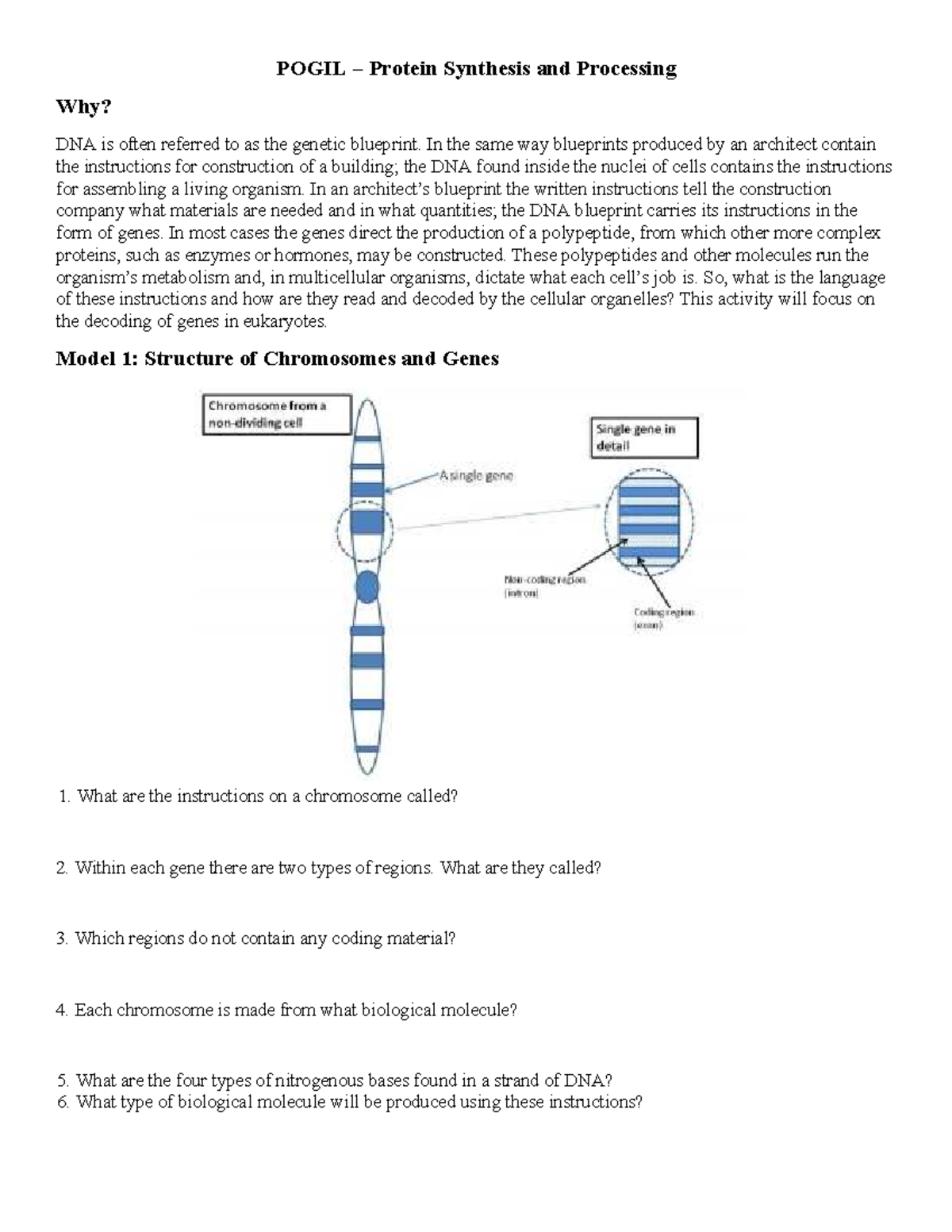 POGIL: Protein Synthesis & Processing Overview - Studocu