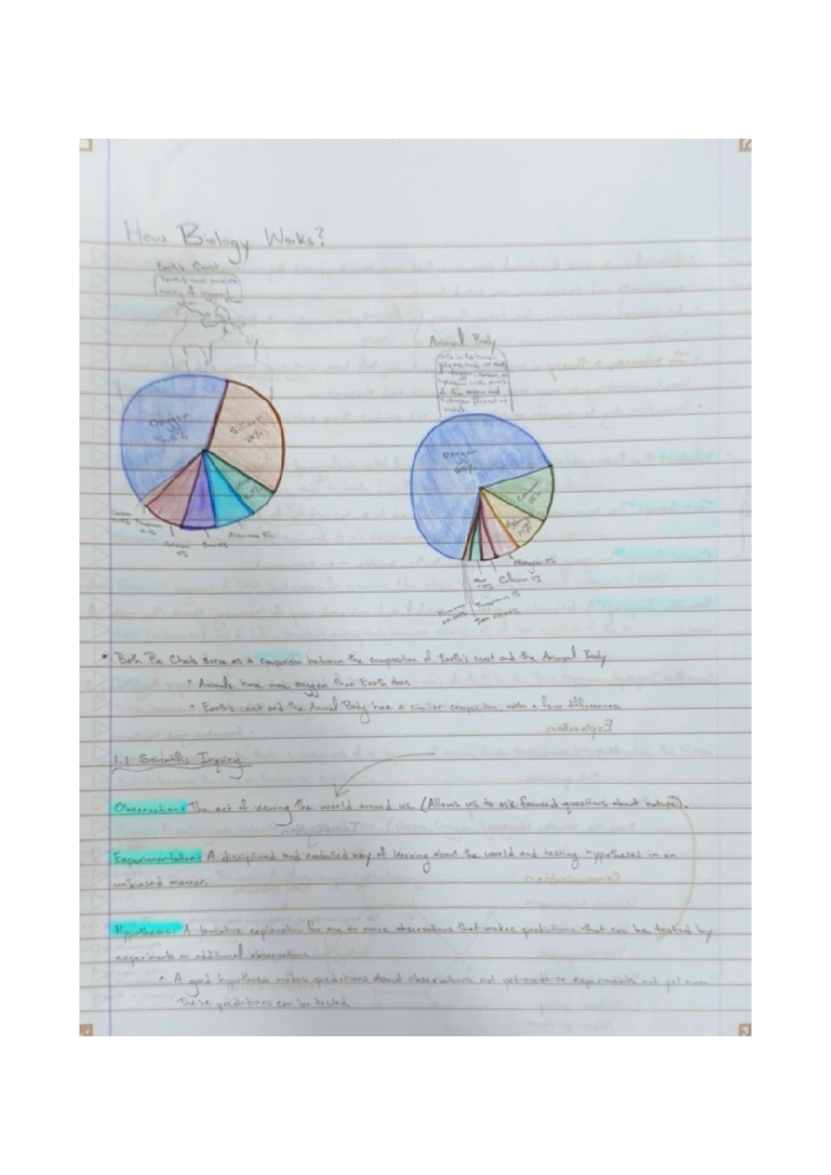 Comprehensive Study Notes for ABC 101: Final Exam Review - Studocu