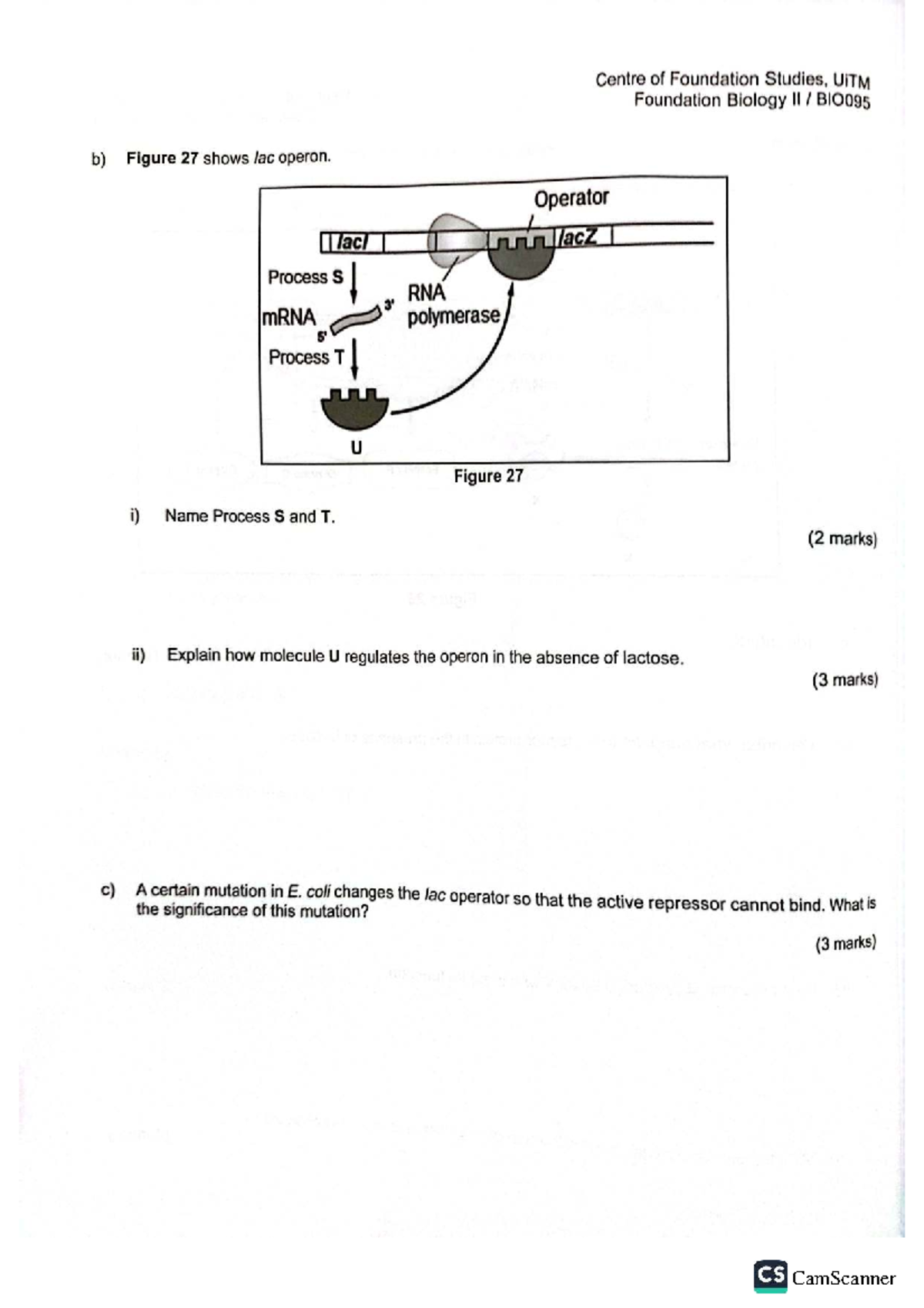 Tutorial BIO095: Understanding the Lac Operon and Genetic Mutations ...
