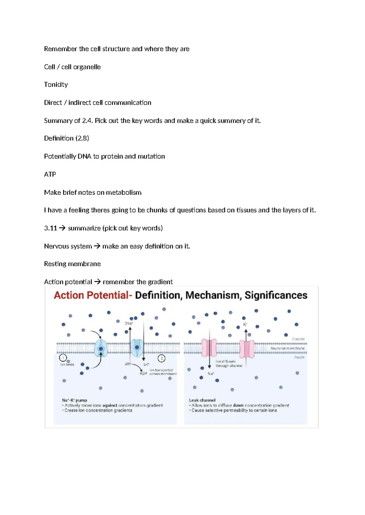 Bio 101: Summary of Cell Structure, Communication, and Metabolism Notes ...