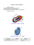 C-190 - Introduction to Biology - Studocu