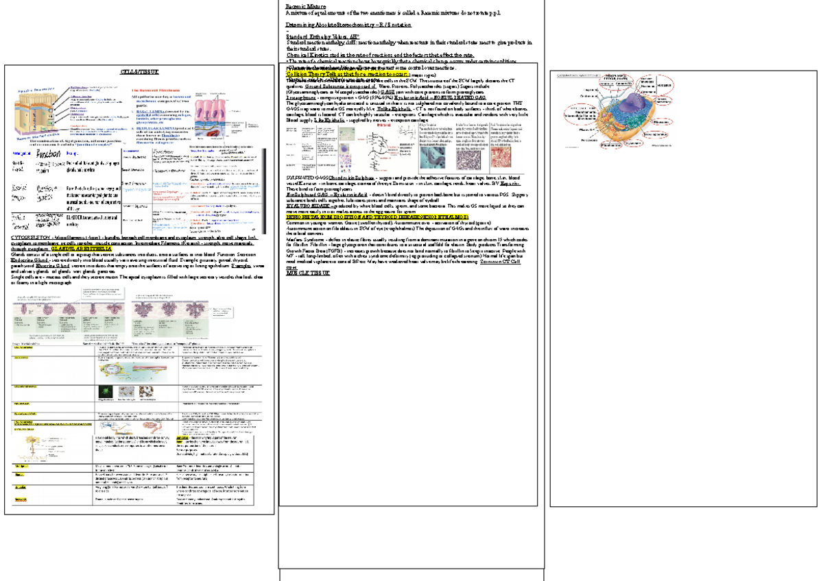 Biology 101: Connective Tissue & Muscle Tissue Overview Cheat Sheet ...