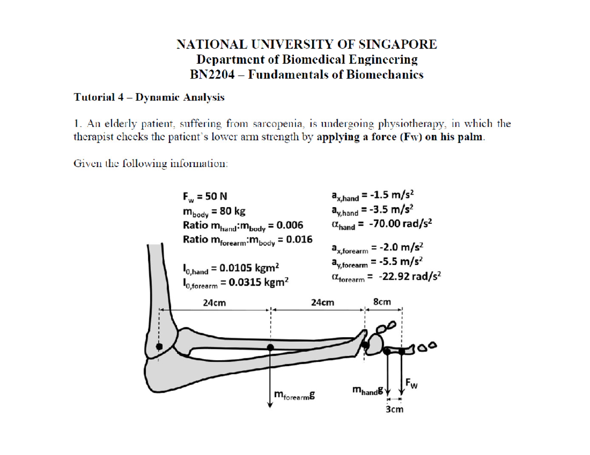 Raye [2023-24] BN2204 Tutorial 4 - Dynamic Analysis Solutions ...