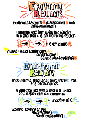 Week Lab Report Virtual Lab Week Introduction To Food Macromolecules Learning Objectives