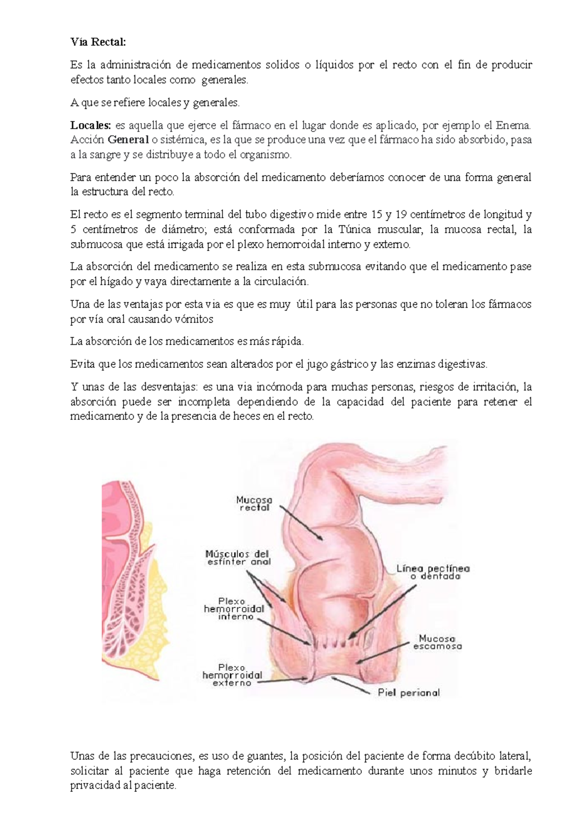 Vía Rectal: Administración de Medicamentos y Tipos de Enemas - Studocu