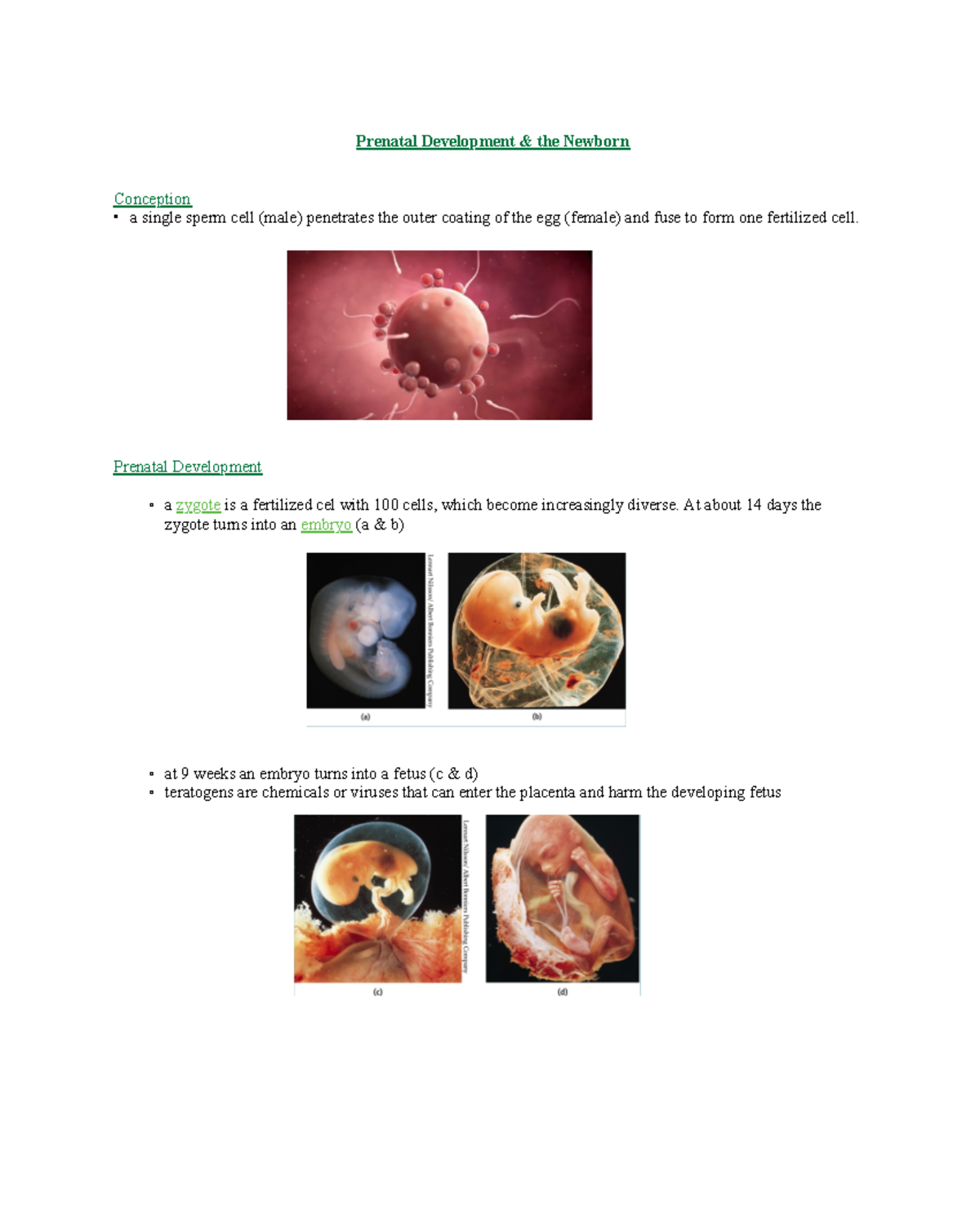 PSY101: Prenatal to Adulthood Development Stages and Psychosocial ...