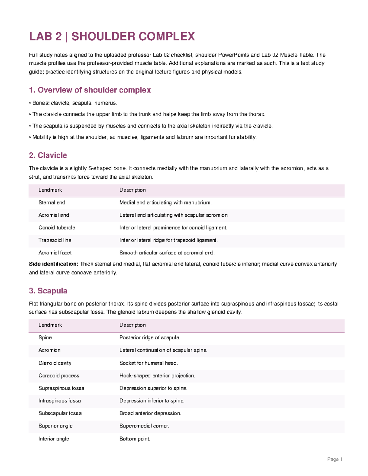 Anatomy Lab 2: Comprehensive Shoulder Complex Study Notes - Studocu