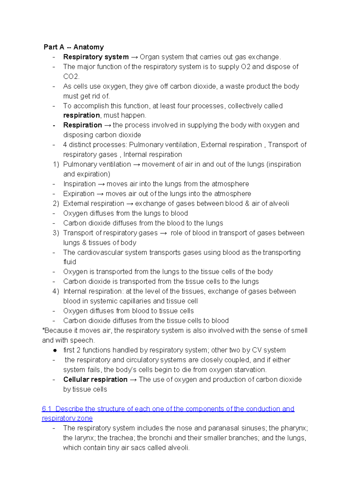 ANP 1105 Lecture Notes: Understanding the Respiratory System Anatomy ...