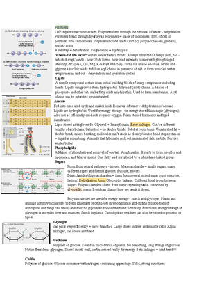 [Solved] For the lac operon explain what happens when beta ...