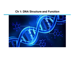 Comprehensive Guide to DNA Structure and Replication (BIO101 ...