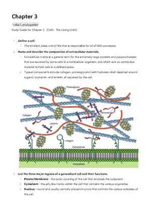 DNA Replication - Study Notes & Assignments - Studocu