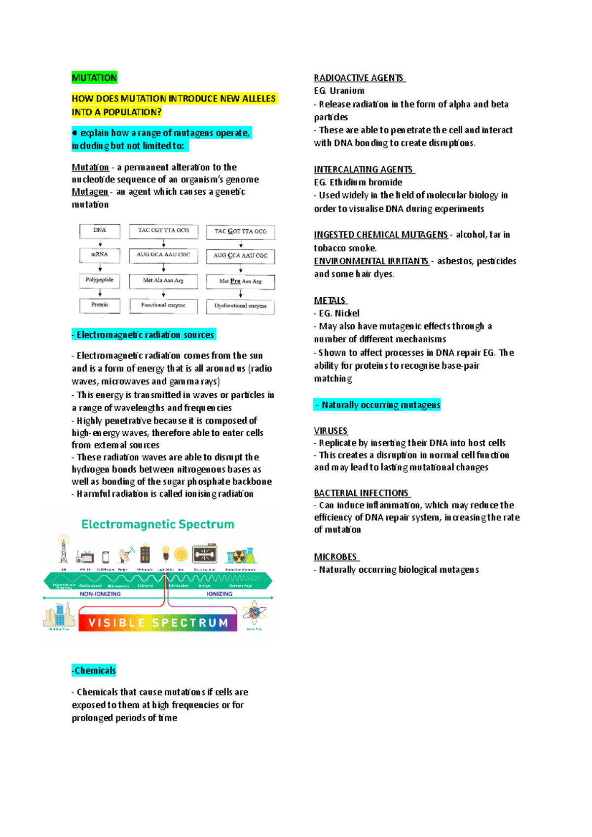 BIO MOD 6 - COMPREHENSIVE BIOLOGY NOTES ON MUTATIONS & BIOTECHNOLOGY ...