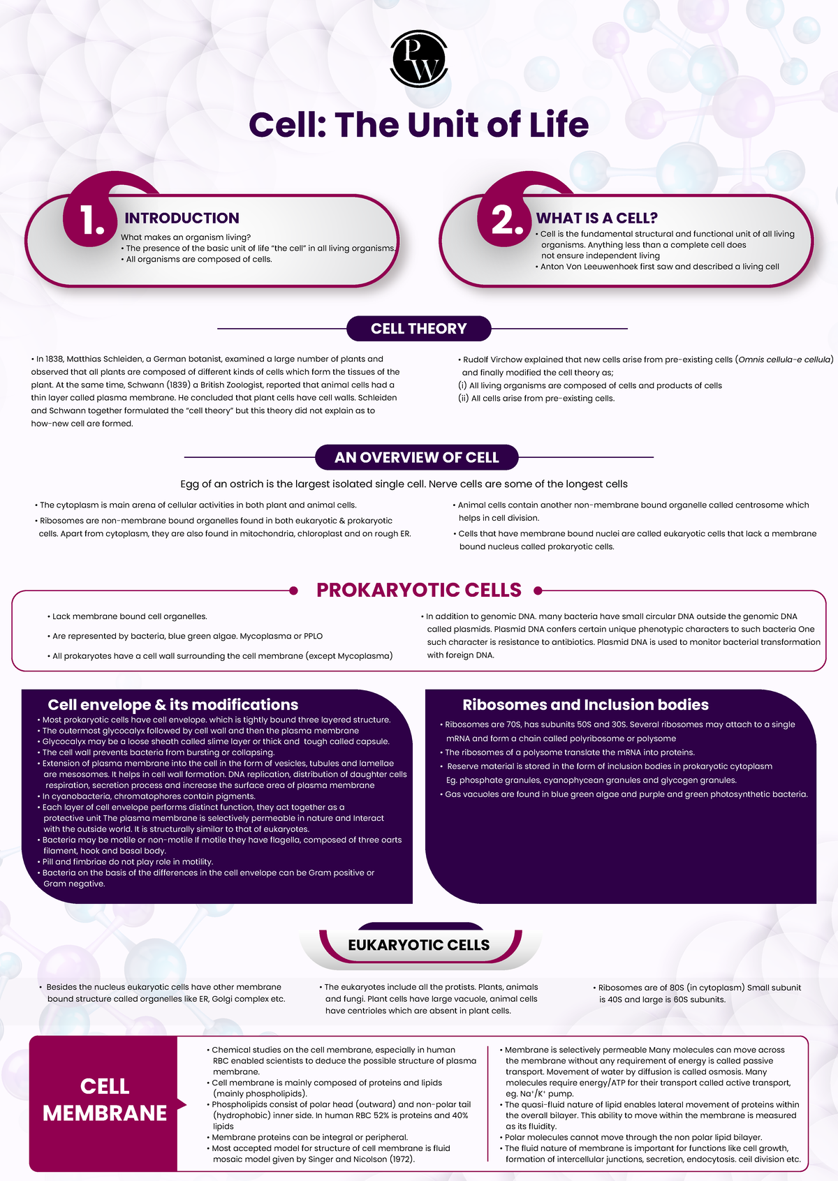 Cell The Unit of Life Mind Maps - Thumb 1200 1692 