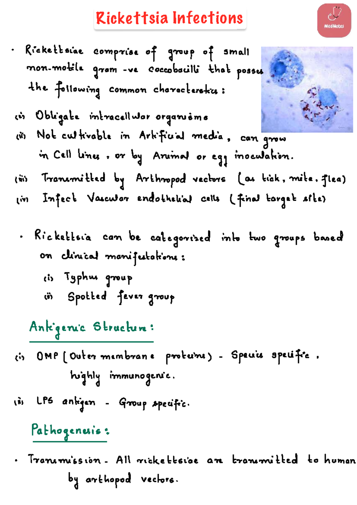 Rickettsia Infections: Clinical Manifestations and Treatment (Final ...