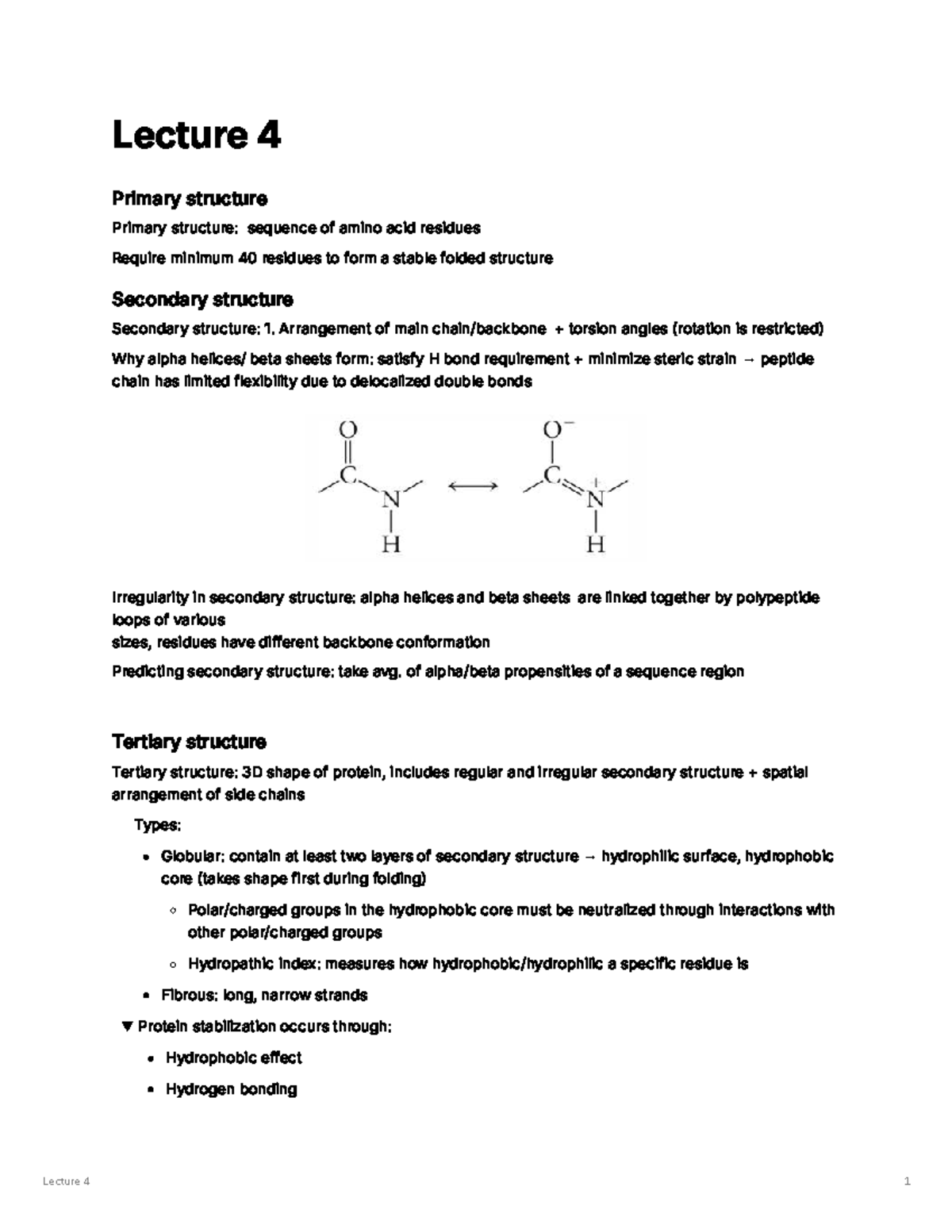 Lecture 4: Protein Structure - Primary, Secondary, and Tertiary - Studocu
