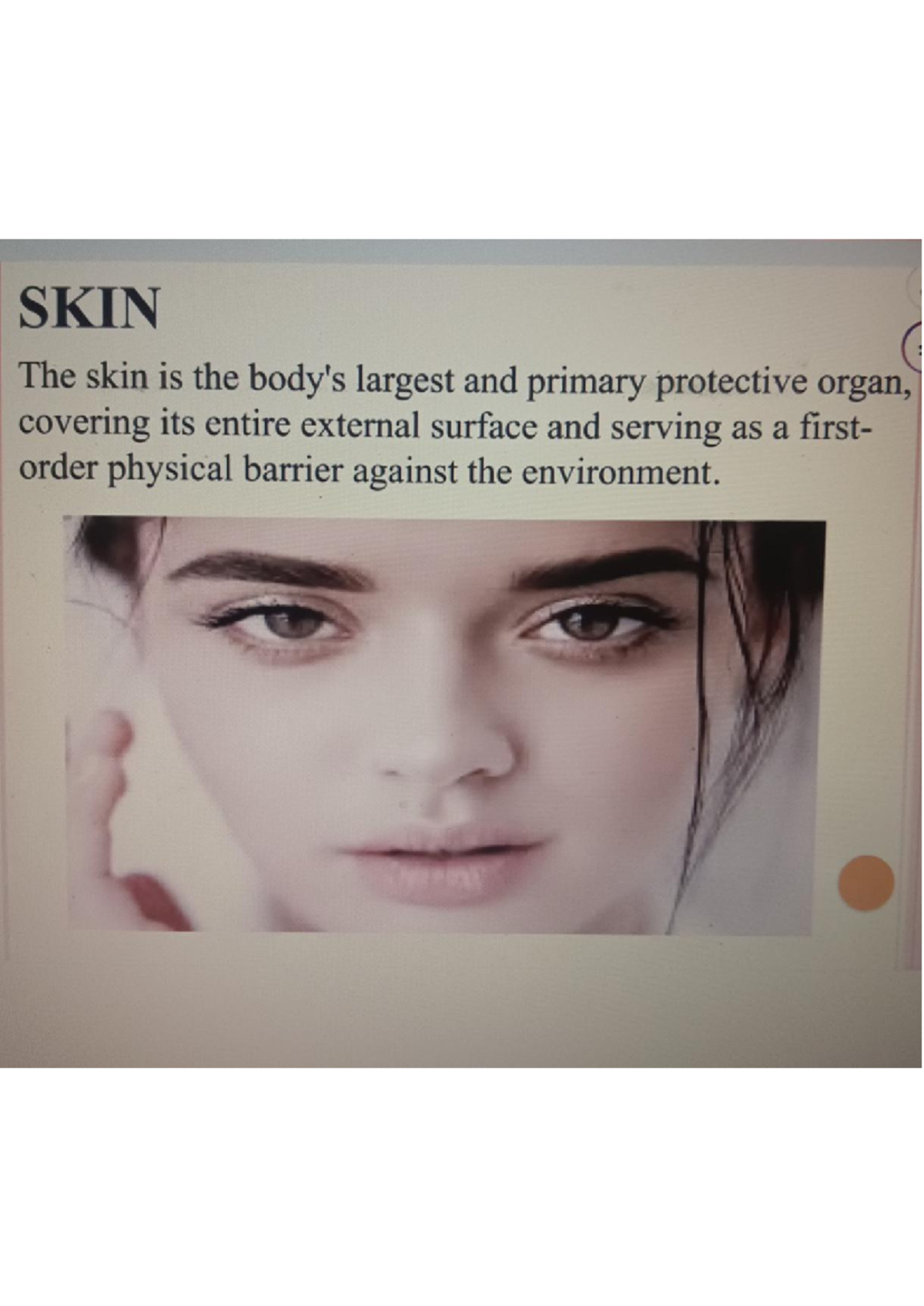 Structure of Skin - Notes (SKIN) - Studocu