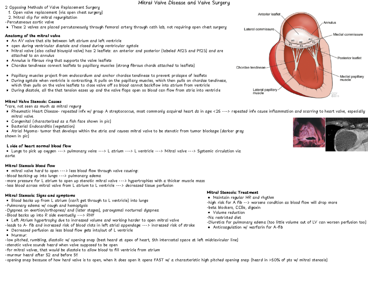 Lecture 2: Mitral Valve Disease and Surgical Interventions - Studocu