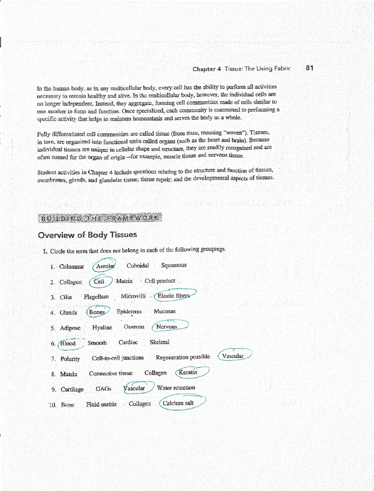 Bio 4 - Tissue: The Living Fabric Study Guide and Activities - Studocu