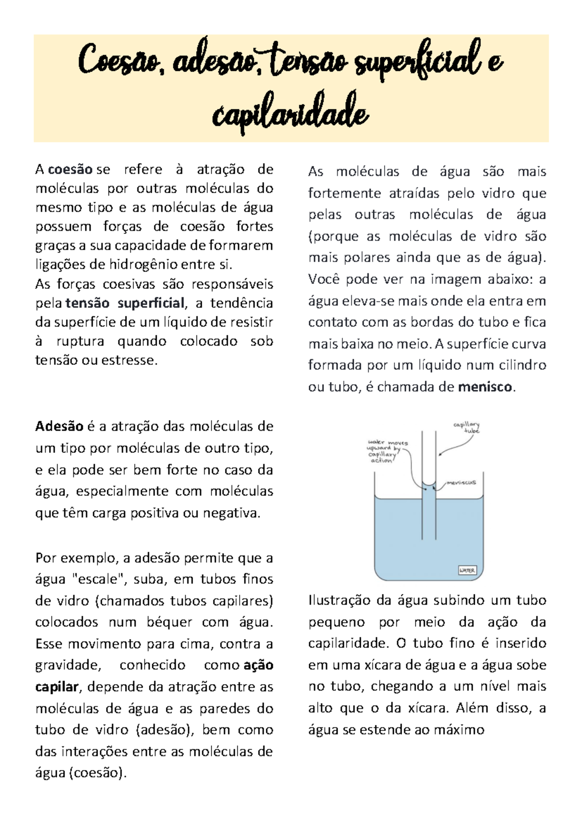 Exemplos De Adesao A Agua