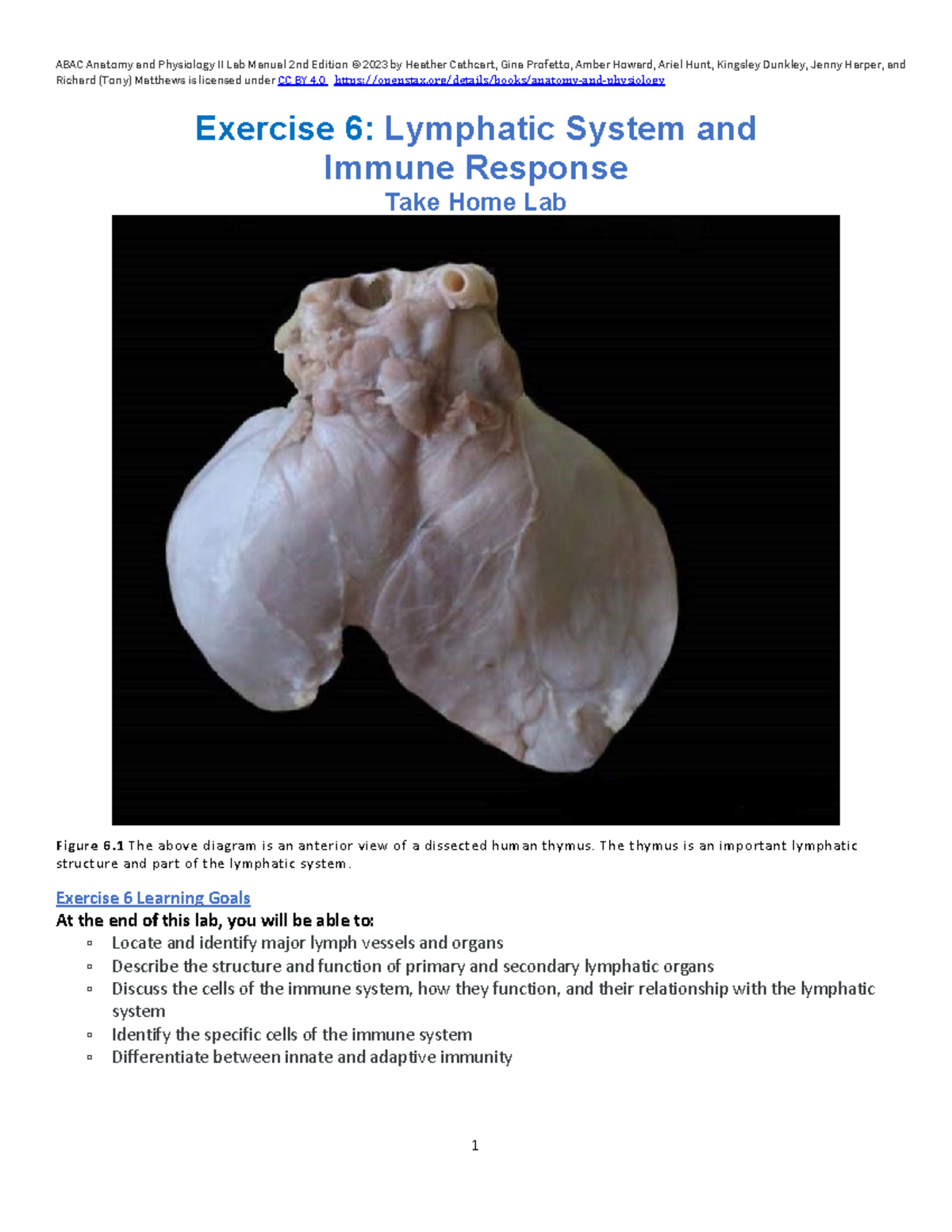 Psychology 101: Final Exam Study Guide on Lymphatic System & Immunity ...