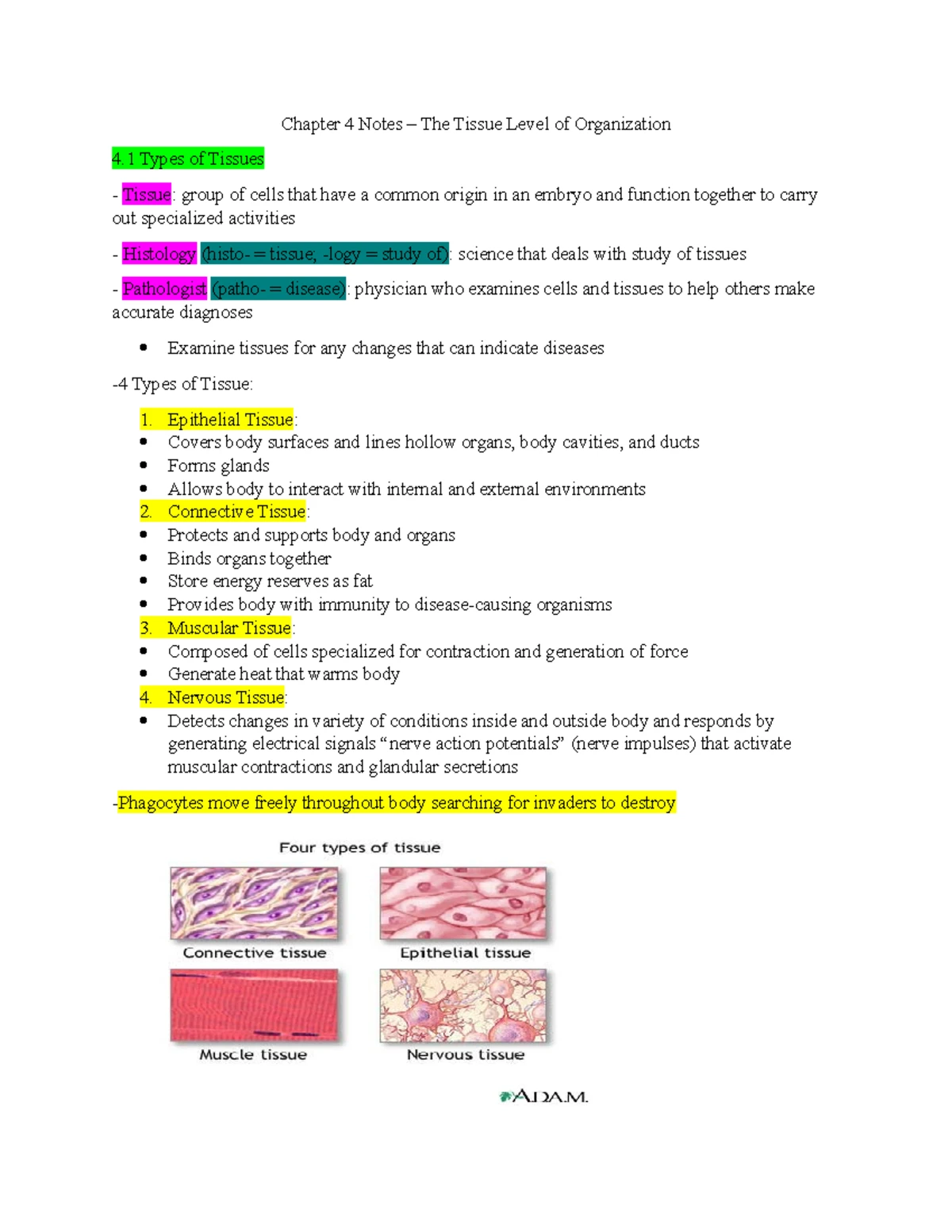 Unit 2 Student Notes micro - BIO 2320 Unit 2 Student Notes Chapter 7 ...