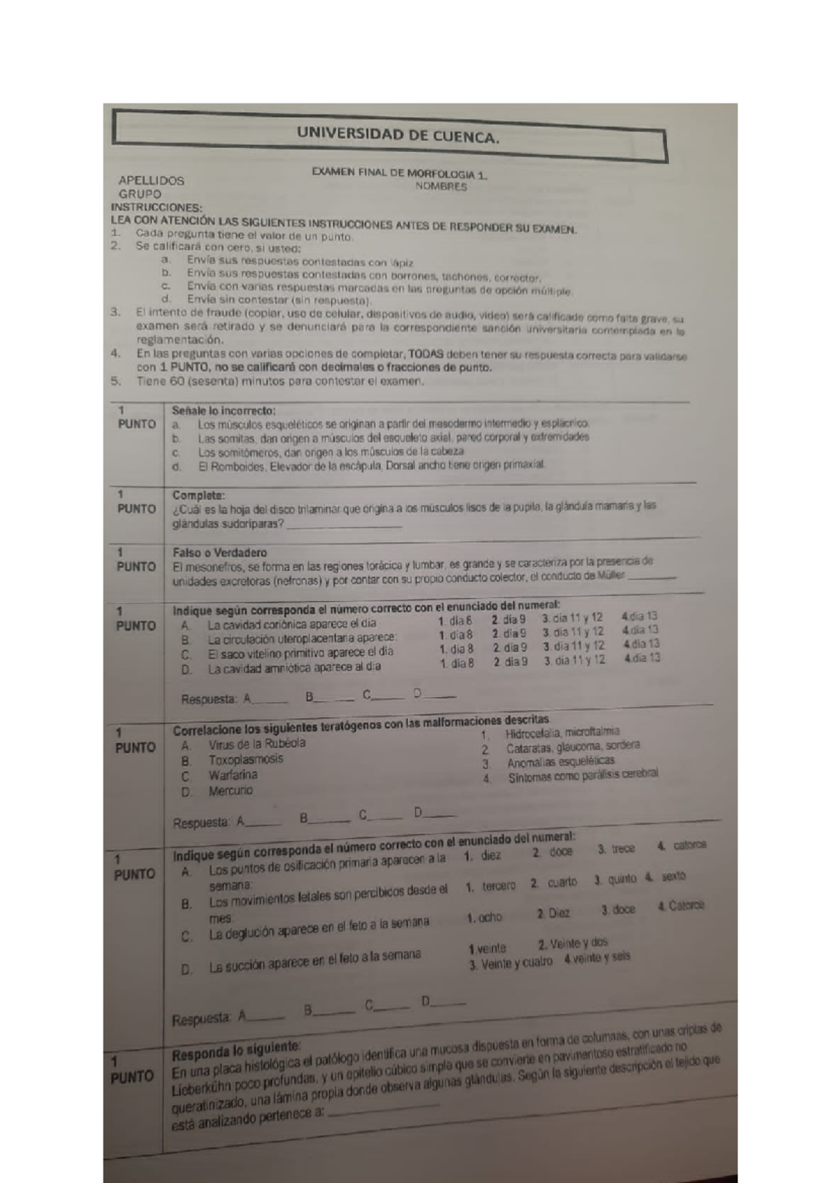 Final Exam Morphology (MORF 101) - Instructions and Questions - Studocu