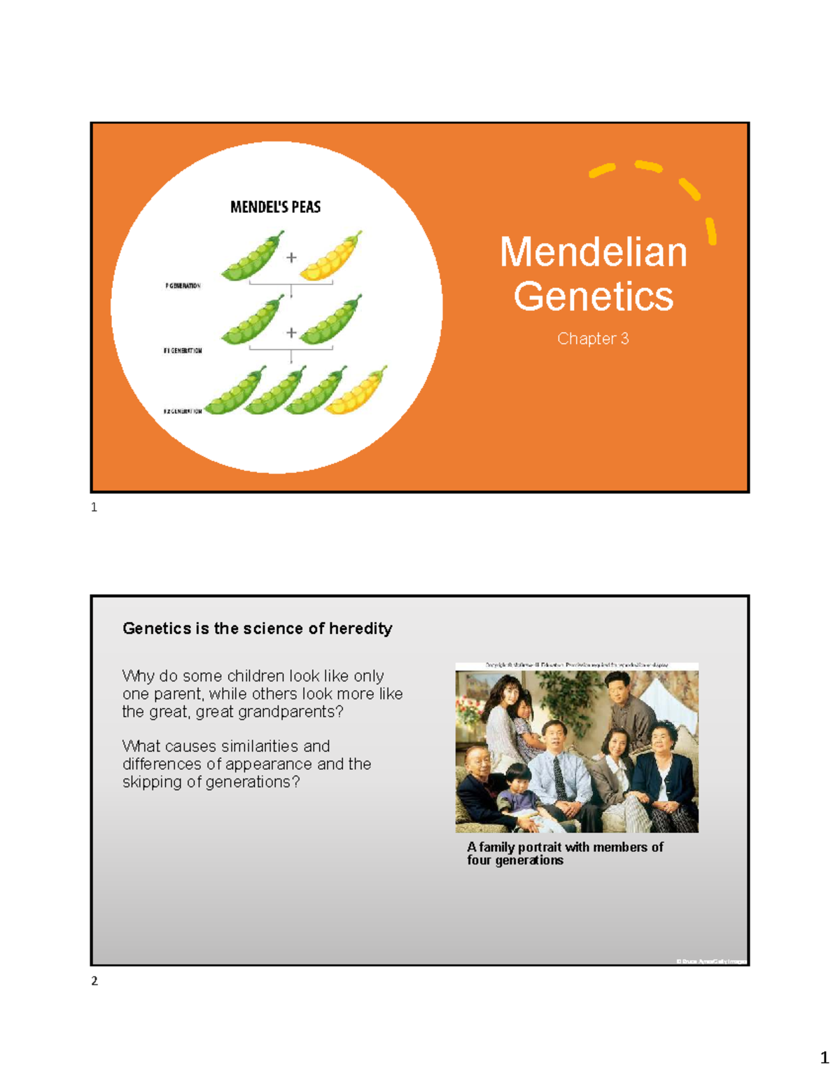 Mendelian Genetics: Principles, Experiments, and Inheritance Patterns ...