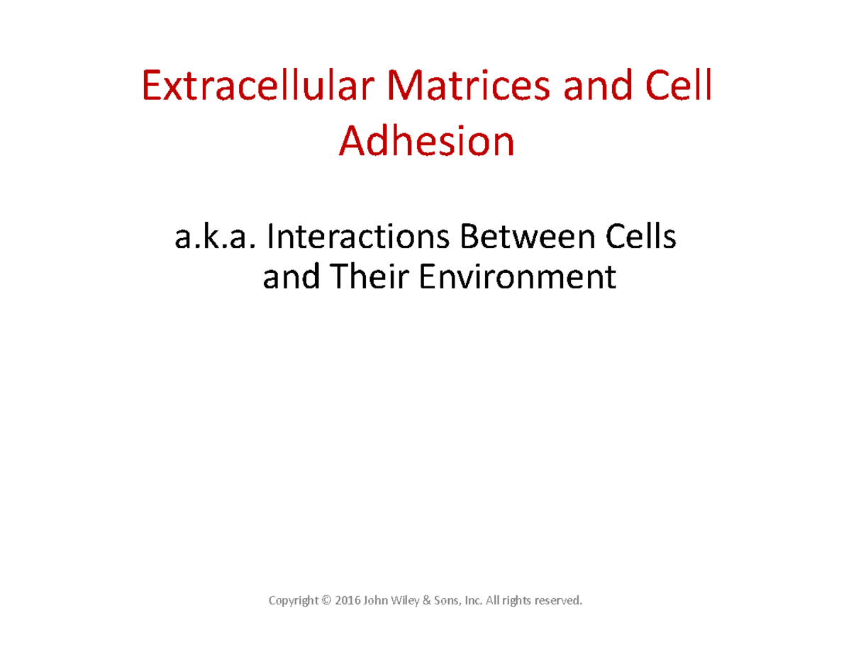 Lecture on Extracellular Matrices and Cell Adhesion - Studocu