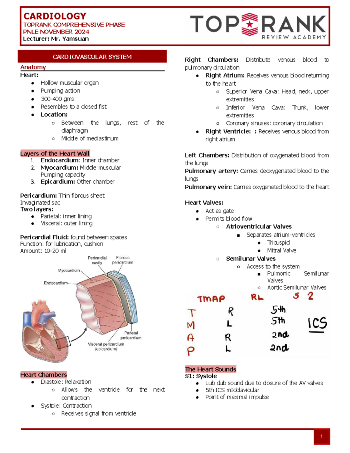 CARDIOLOGY PNLE NOV 2024: COMPREHENSIVE STUDY NOTES - Document Preview